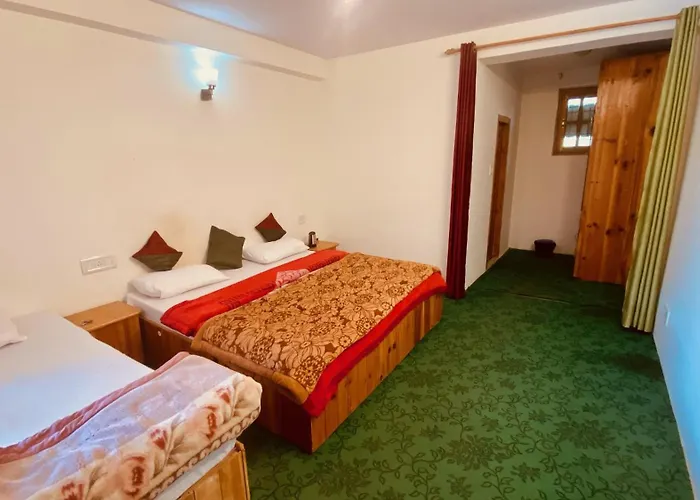 Madpackers Manali Hostel